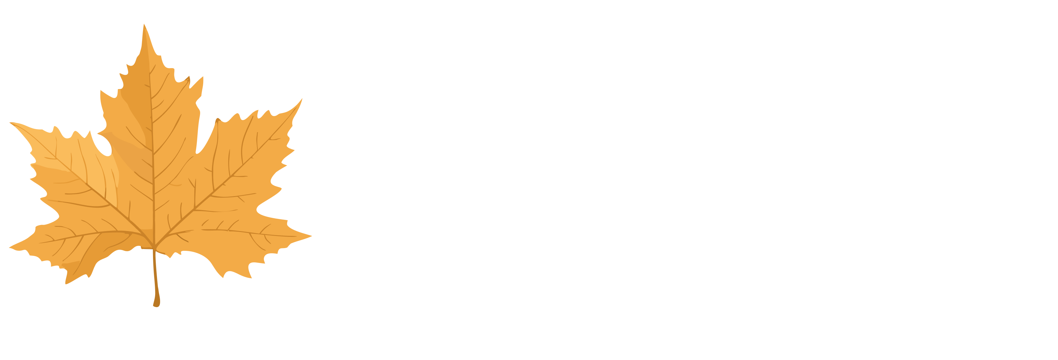 Maplewood Treatment Solutions